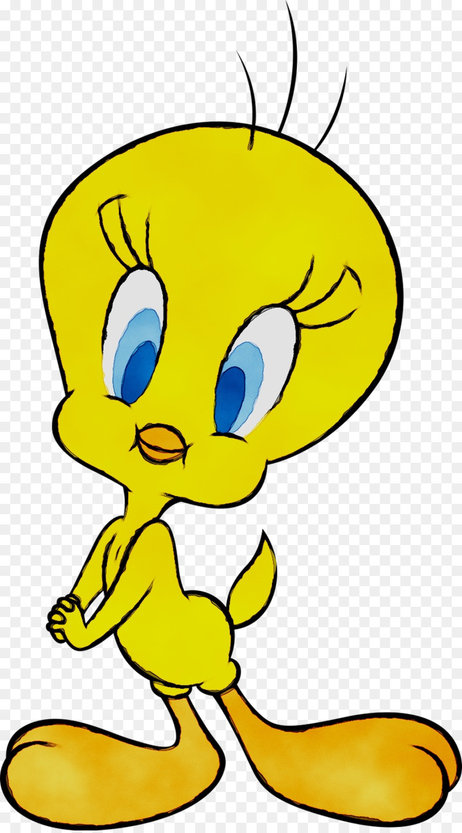 Tweety Kuş，Kuş PNG