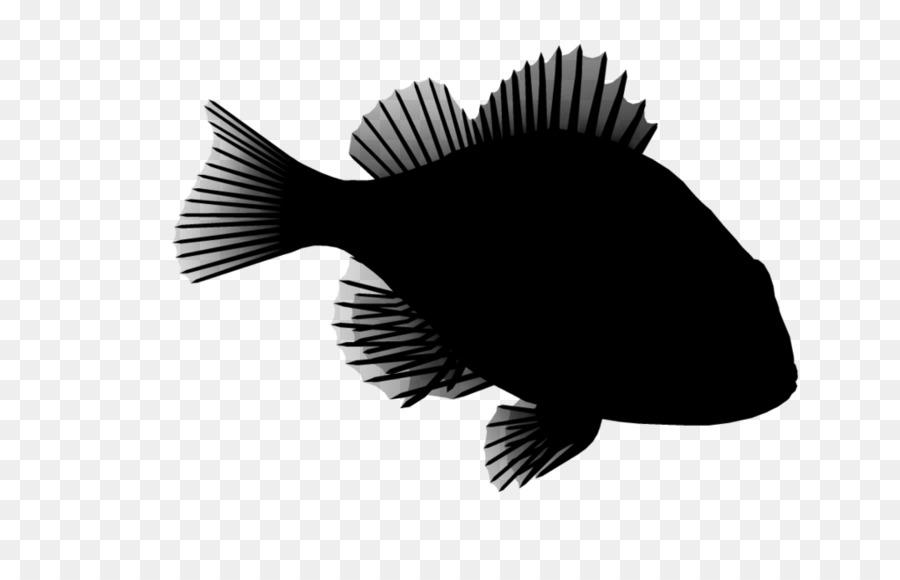 Balık，Fırça PNG