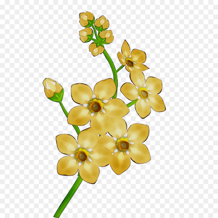 Kesme çiçekler，Vücut Takı PNG
