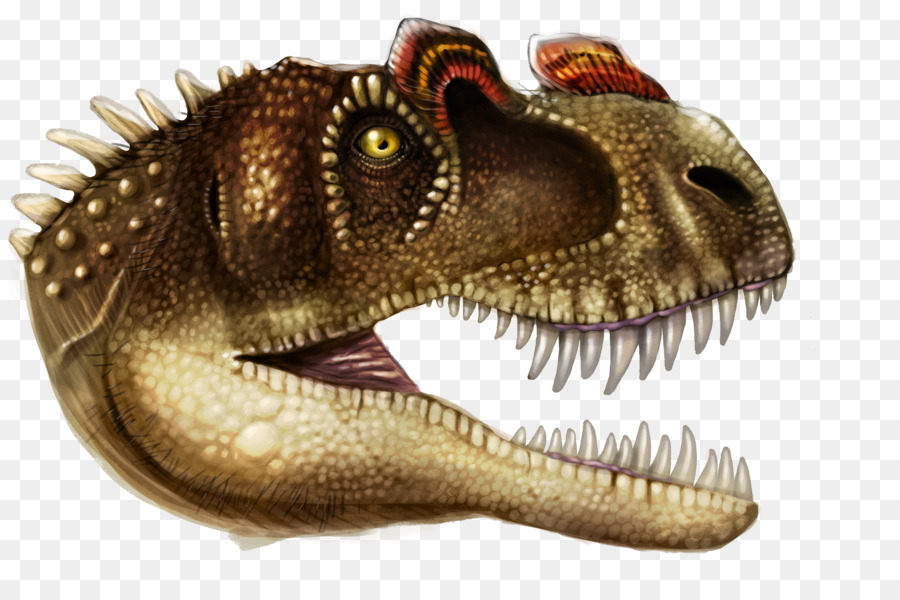 Tyrannosaurus，Dinozor PNG