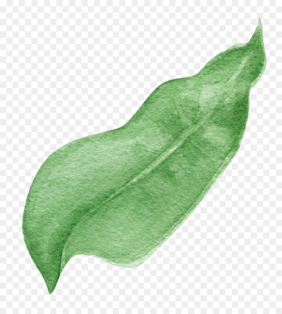 Yeşil，Yaprak PNG