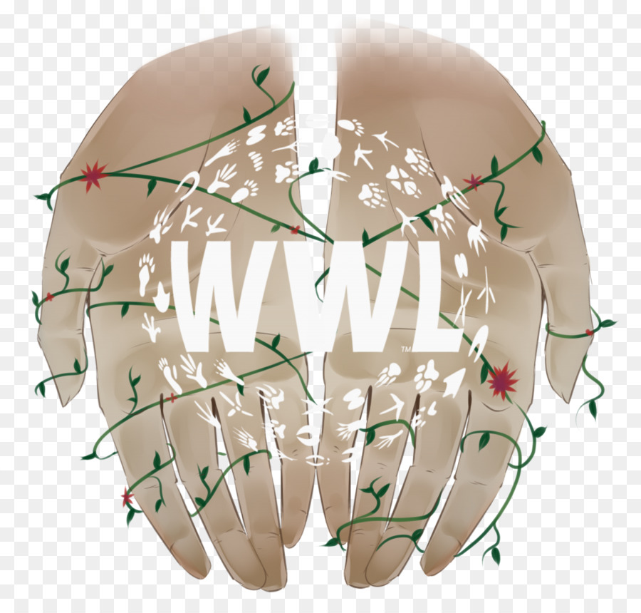 Wwltv，Logo PNG