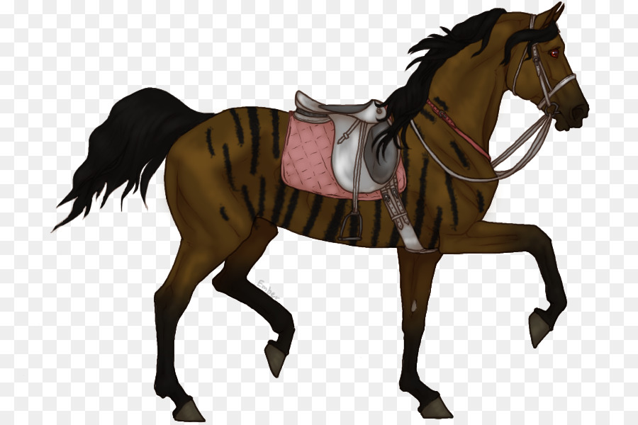 Appaloosa，Yele PNG