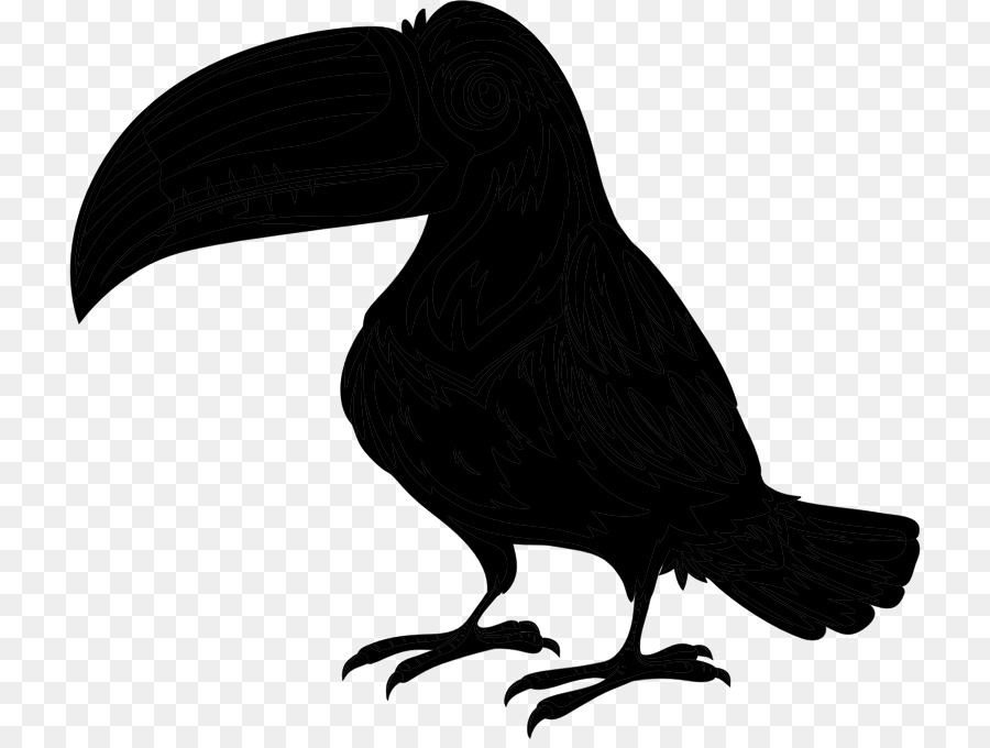 Kuş，Toucan PNG