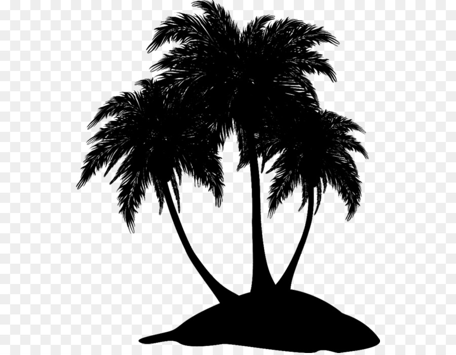 Asya Palmyra Palm，Siyah Beyaz M PNG