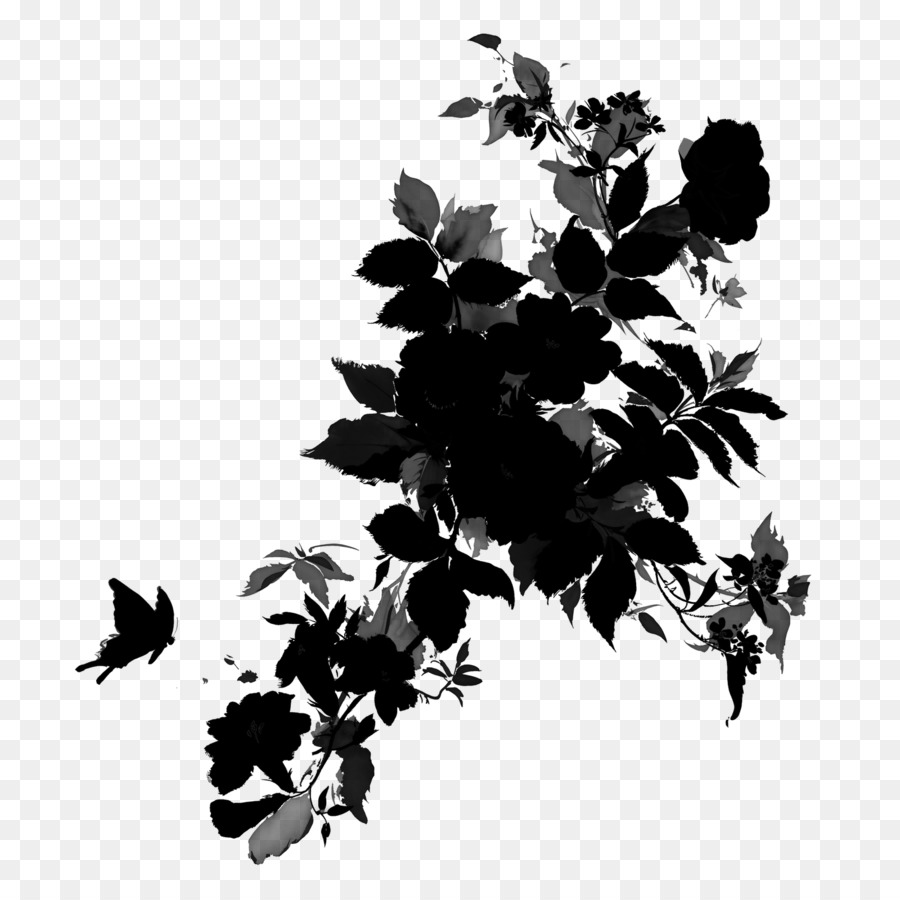 Siyah Beyaz M，çiçek PNG