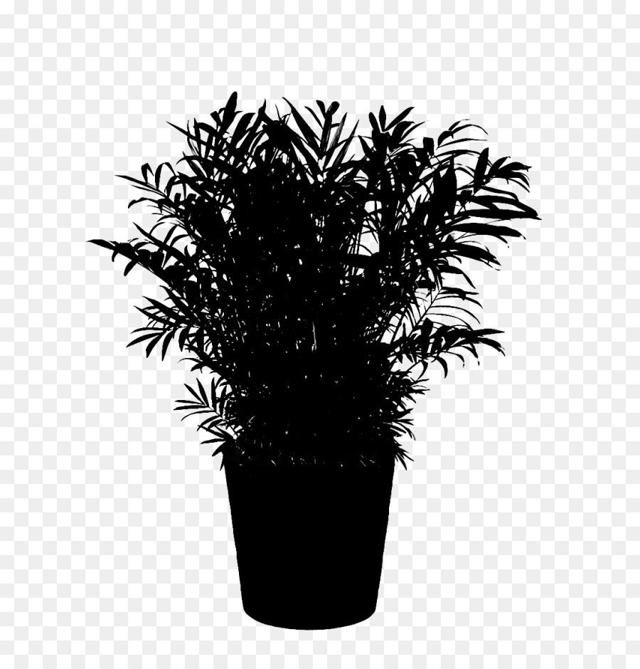 Palmiye Ağaçları，Siyah Beyaz M PNG