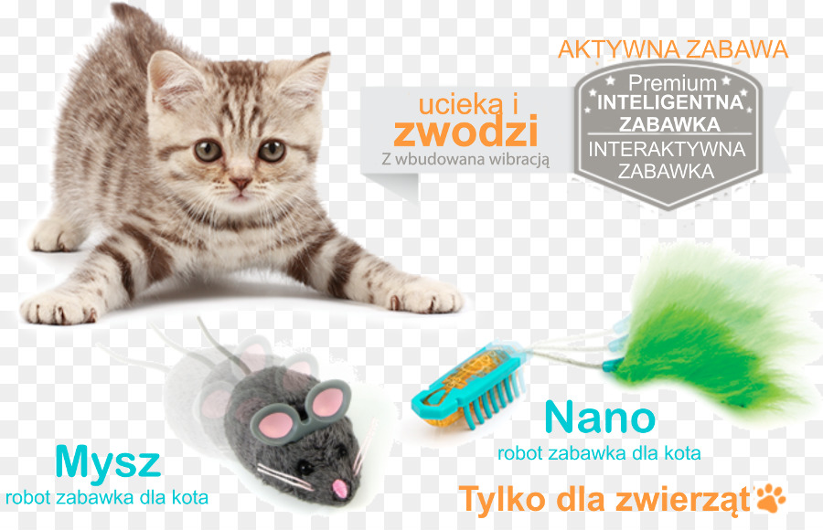 Kedi，Köpek PNG