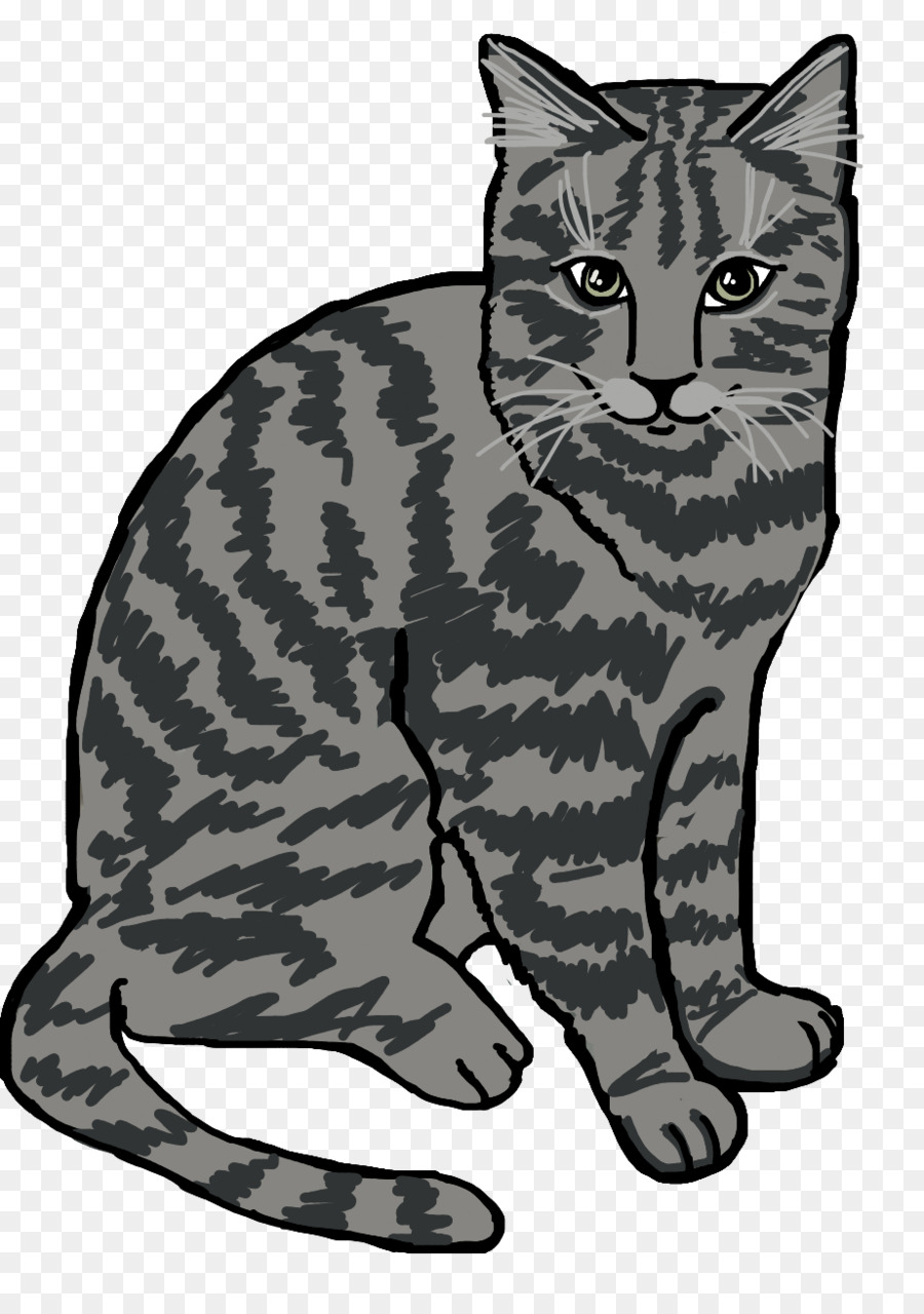 Kedi，Evcil Hayvan PNG