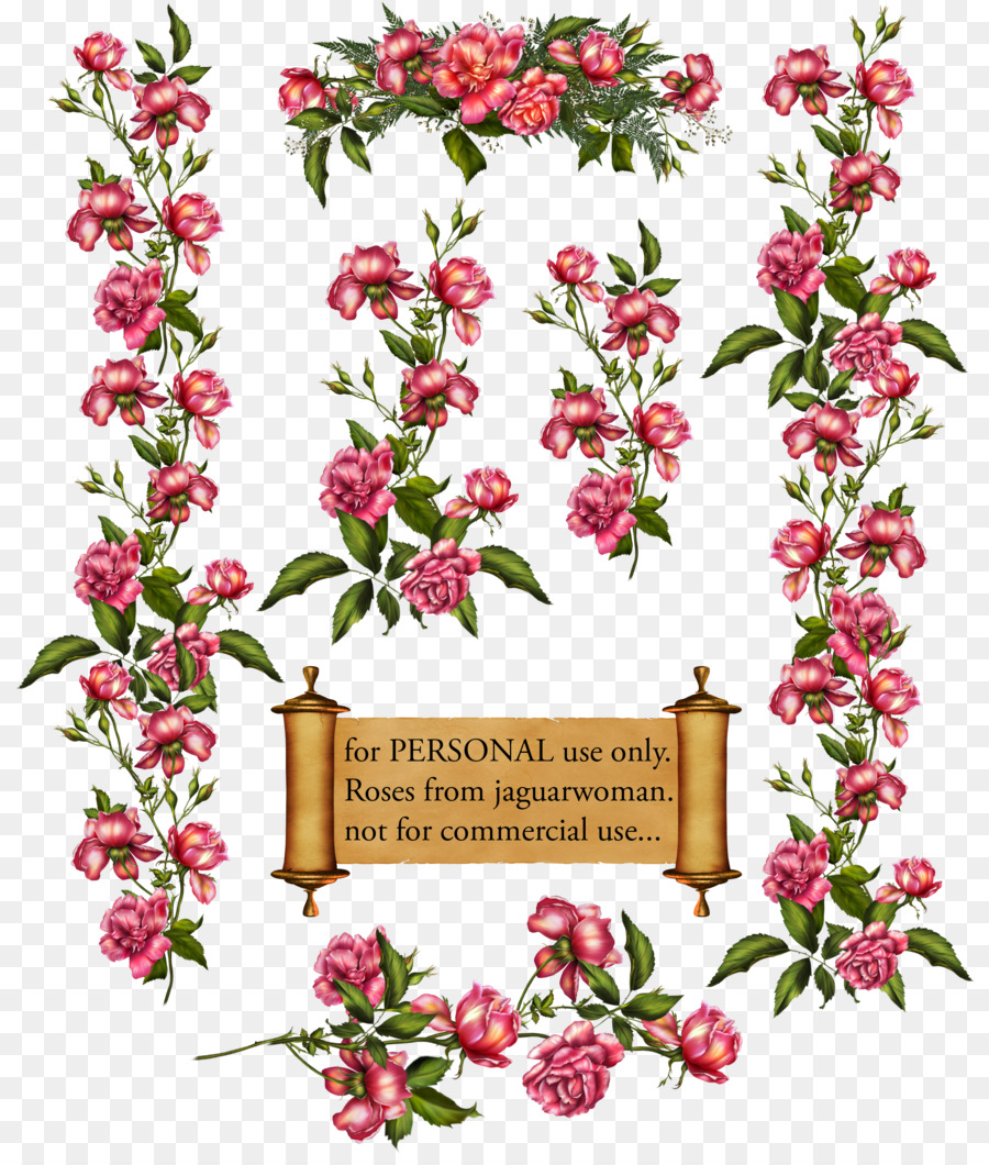 Çizim，Ramblerrose PNG