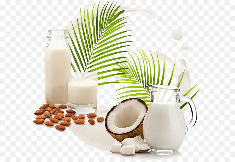 Hindistan Cevizi Sütü，Süt Badem PNG