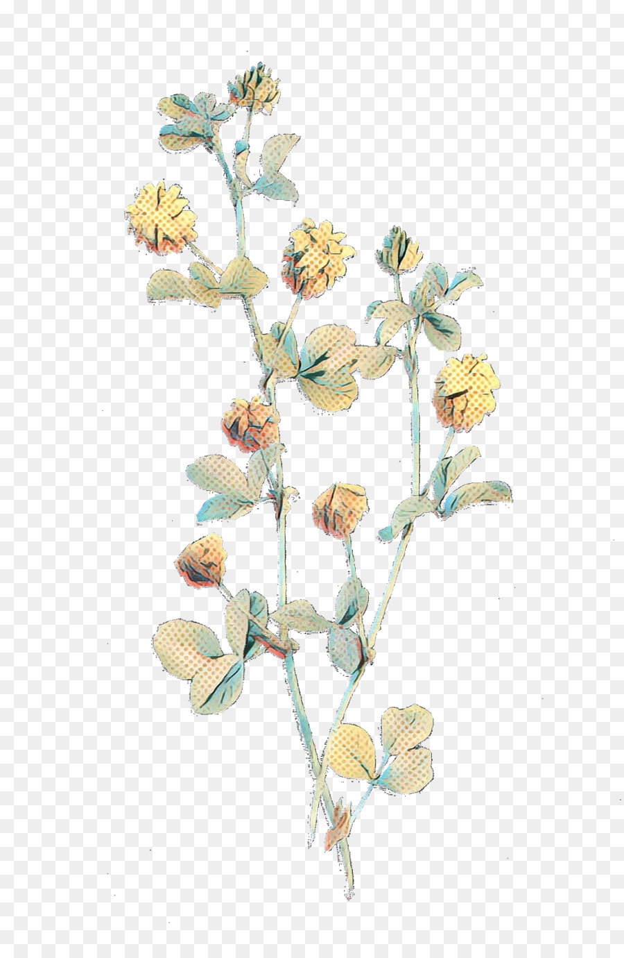 Kesme çiçekler，Bitki Kök PNG