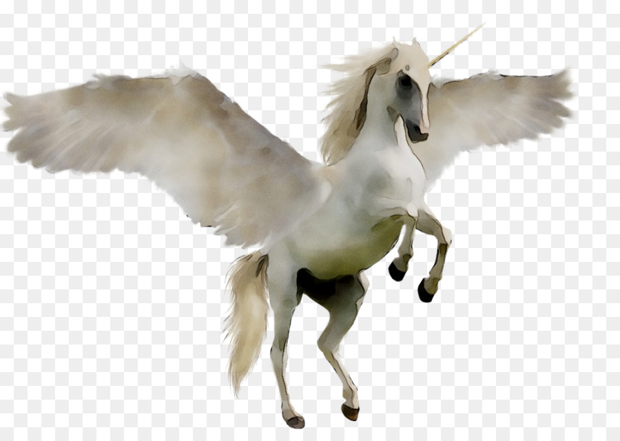 Masaüstü Duvar Kağıdı，Unicorn PNG