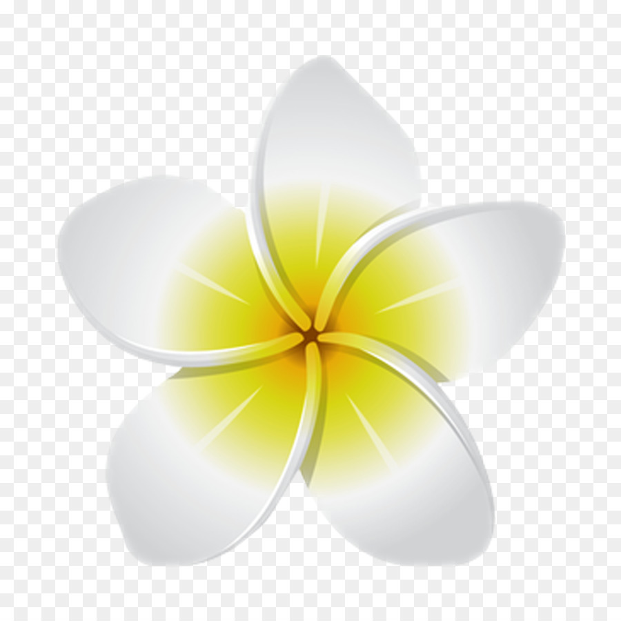 çiçek，Etiket PNG
