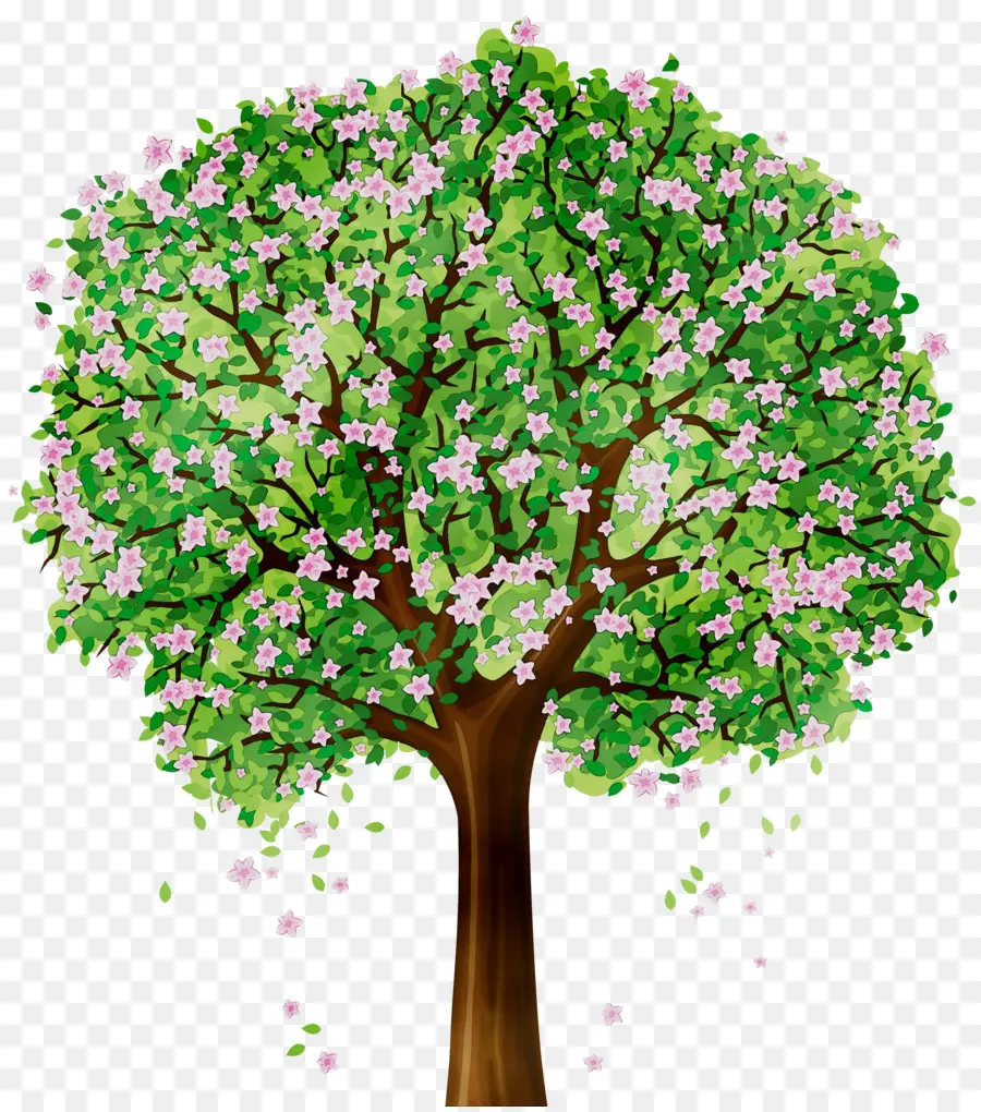 Ağaç，çiçek PNG