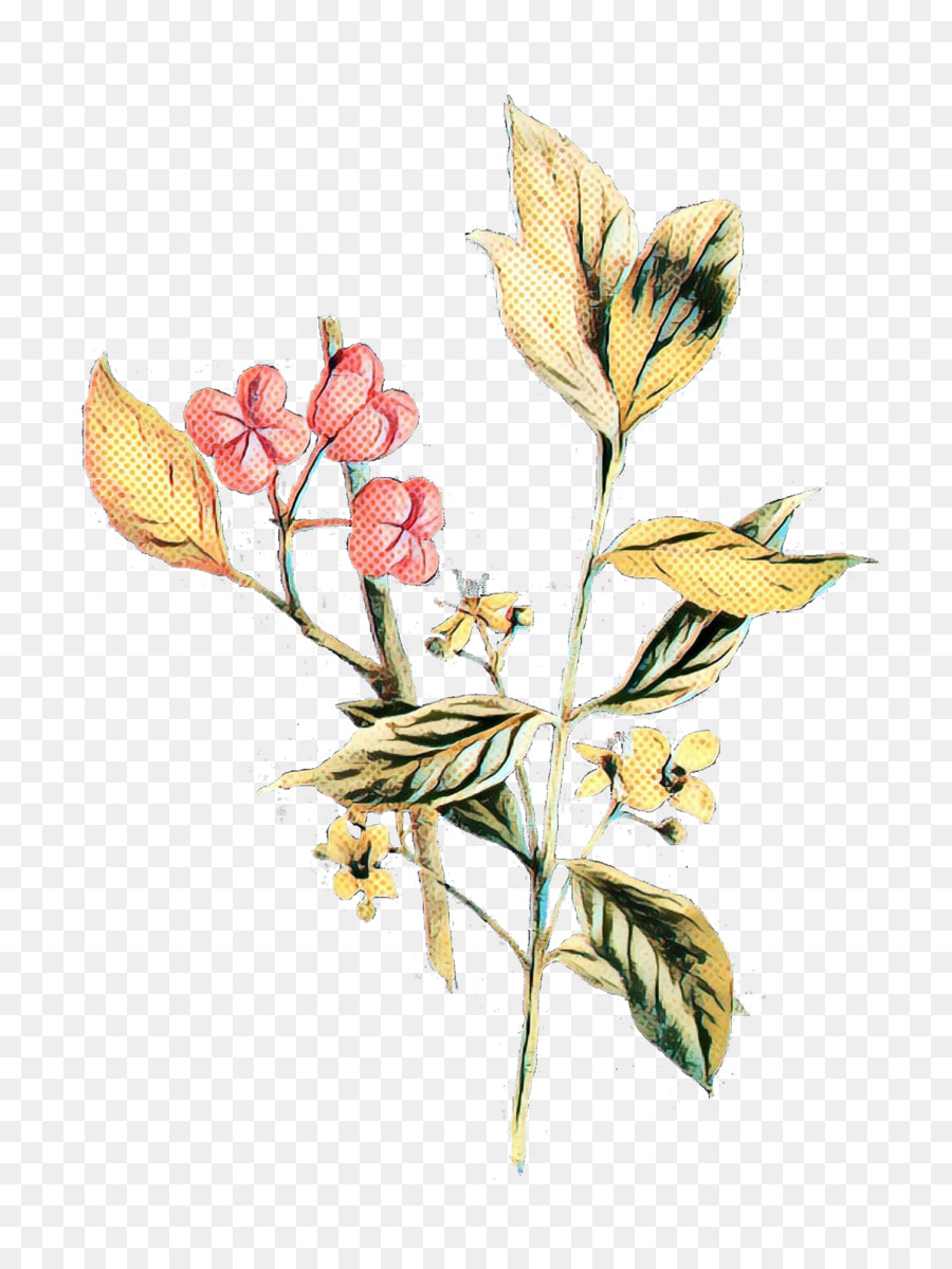 Lale，Kesme çiçekler PNG