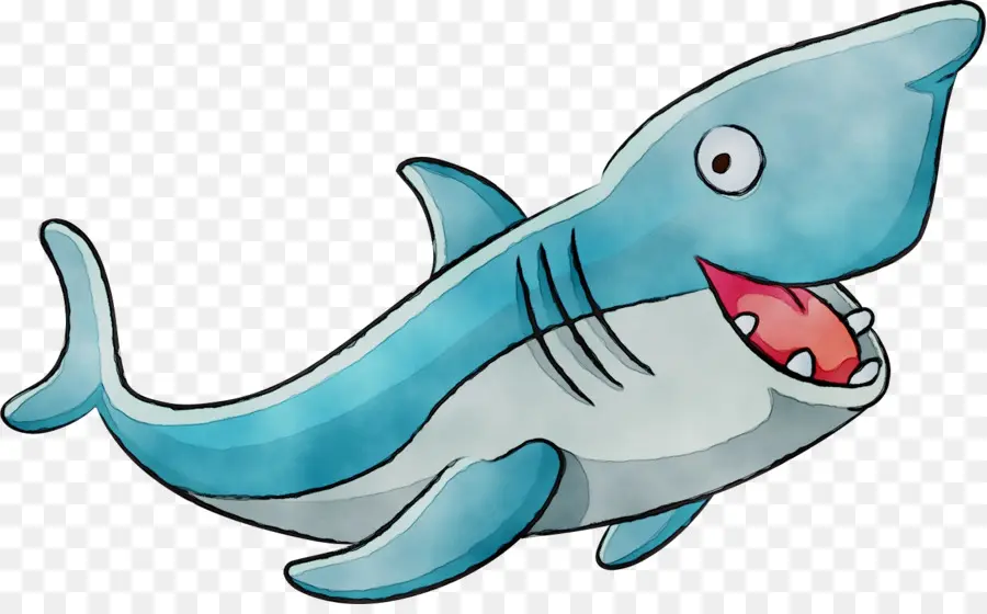 Köpekbalığı，Çizim PNG