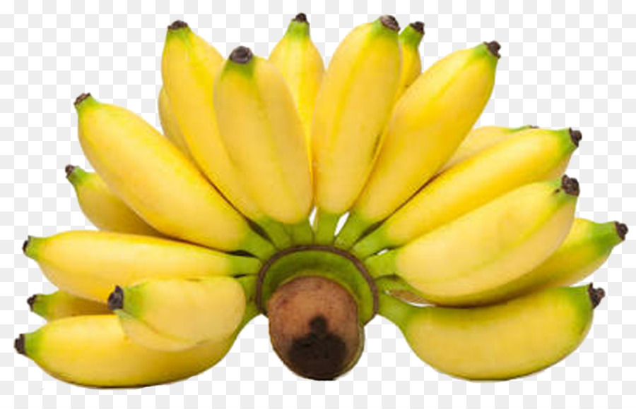 Lady Finger Banana，Muz PNG