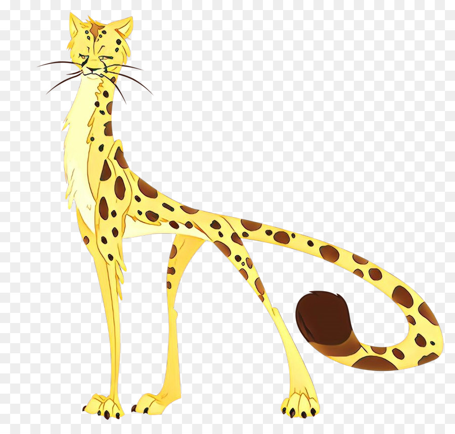 Kedi，Zürafa PNG