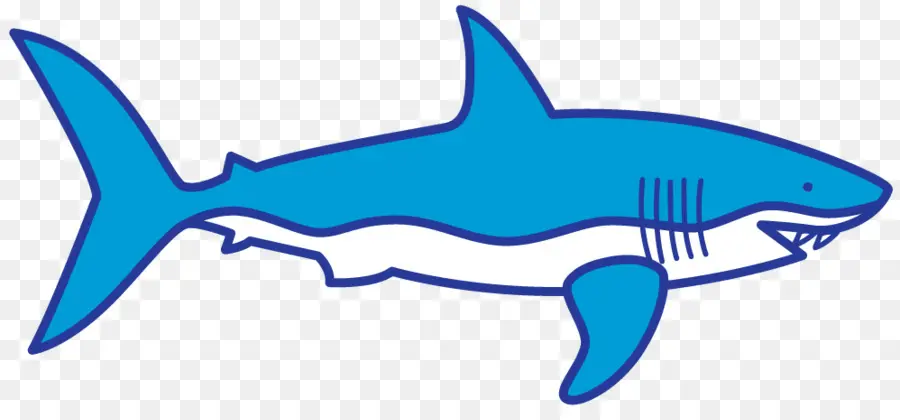 Köpekbalığı，Köpekbalığı Avcılığı PNG