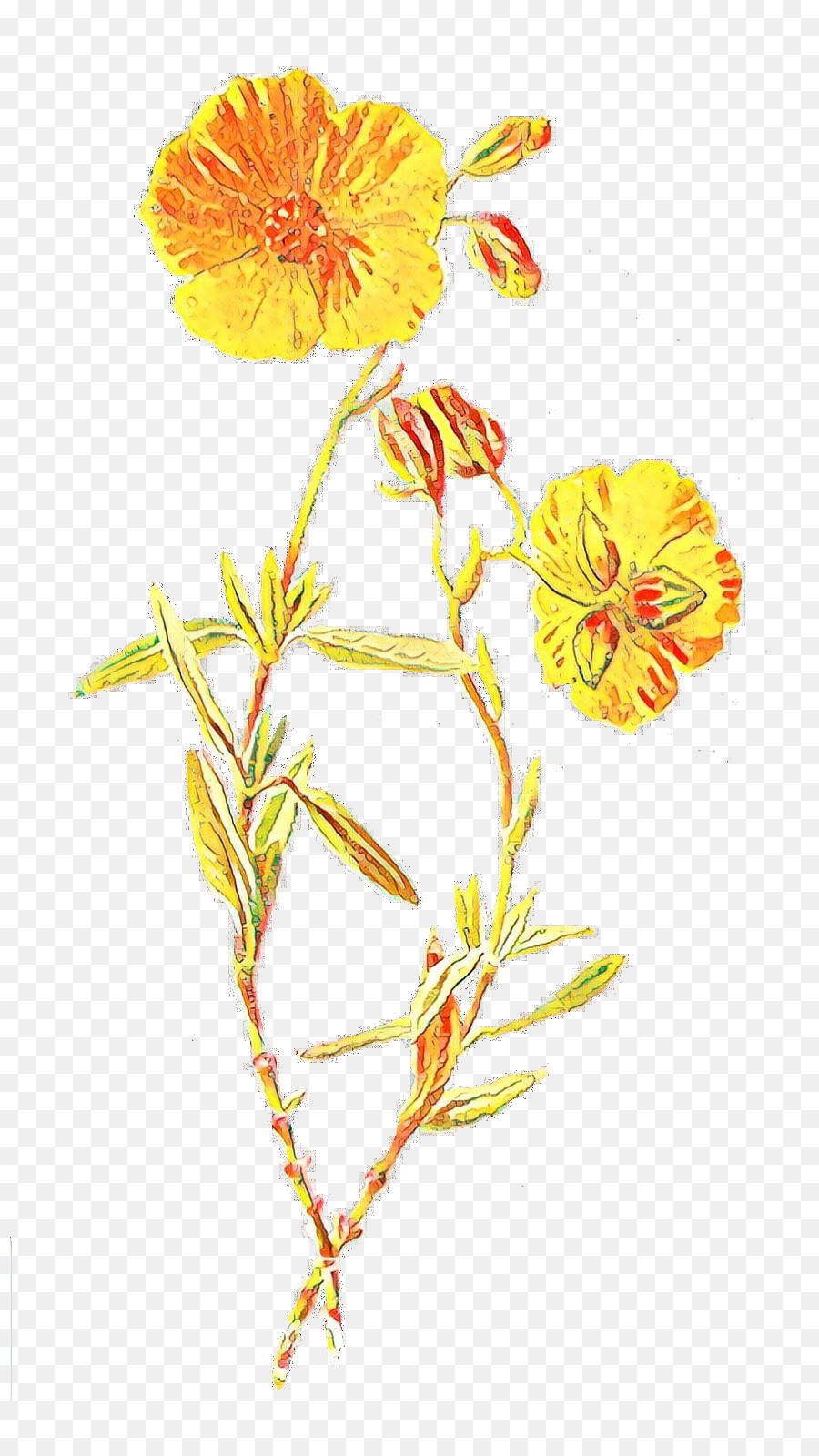 Tanıdık Yabani Çiçekler，çiçek PNG