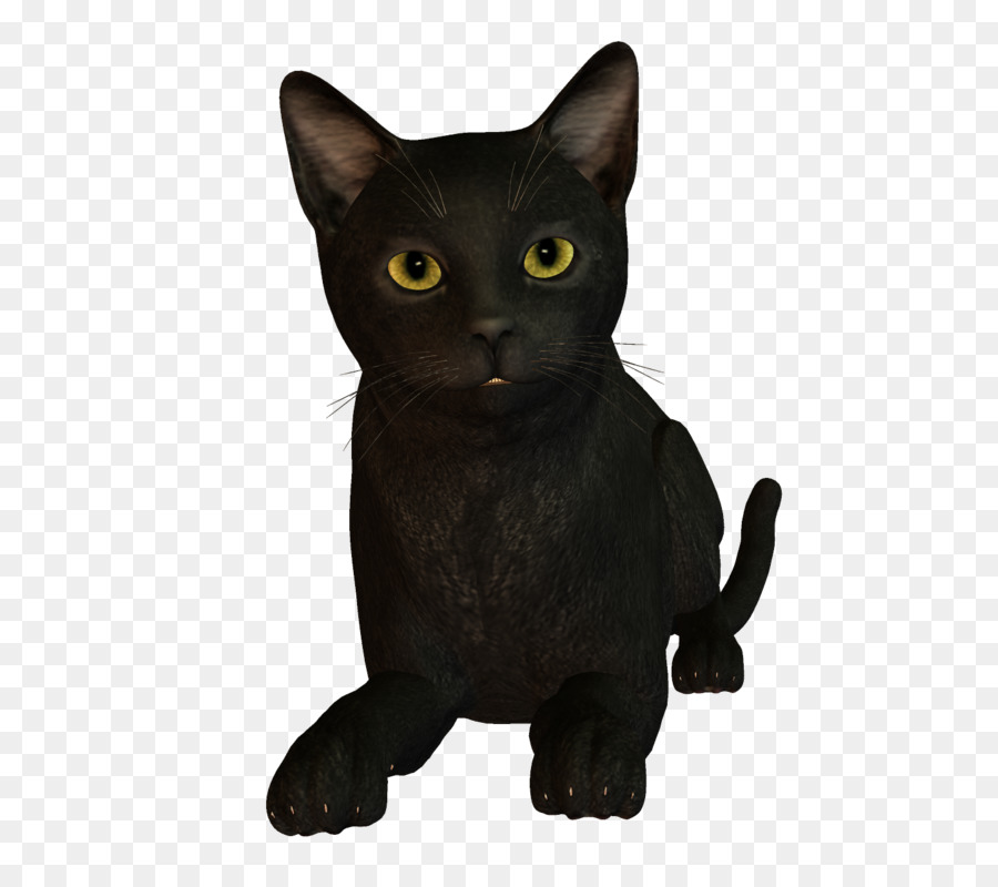 Kara Kedi Heykeli，Hayvan PNG