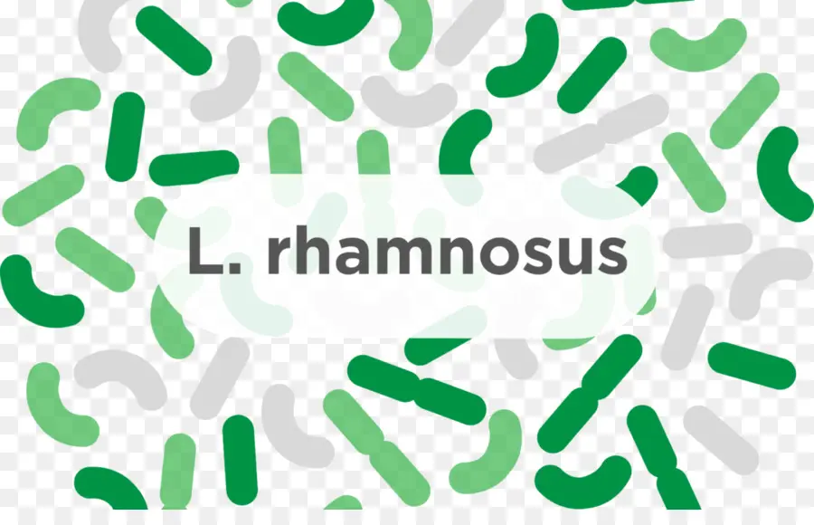 L Rhamnosus，Probiyotik PNG