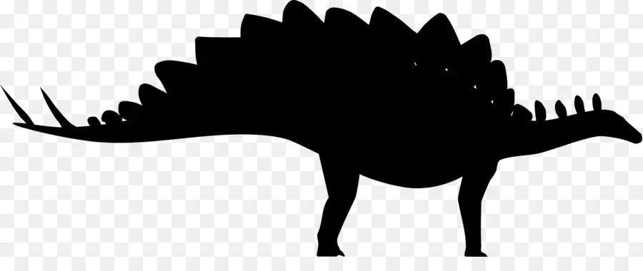 Stegosaurus，Siluet PNG