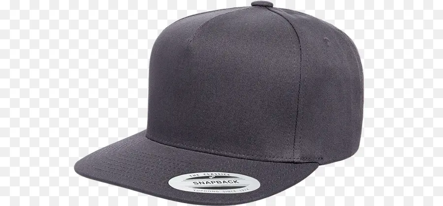 Gri Snapback Şapka，Kapak PNG