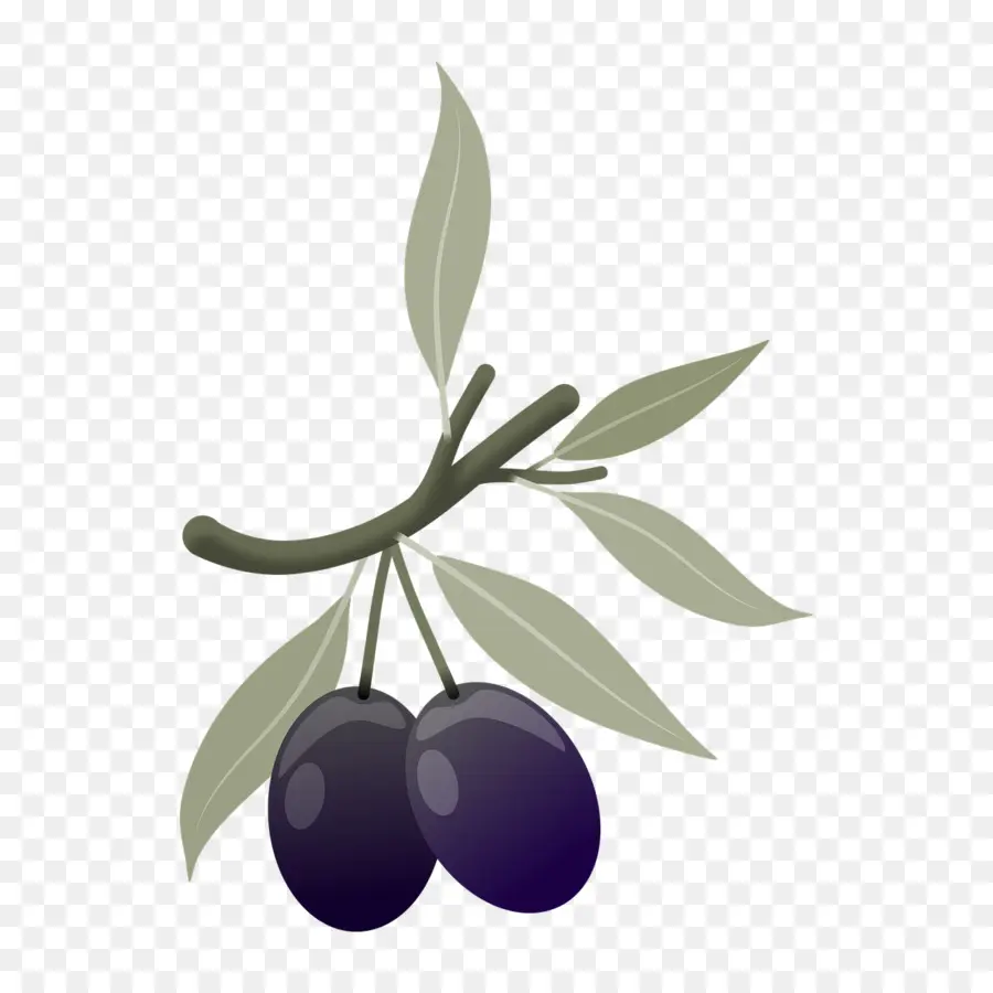 Zeytin，Meyve PNG