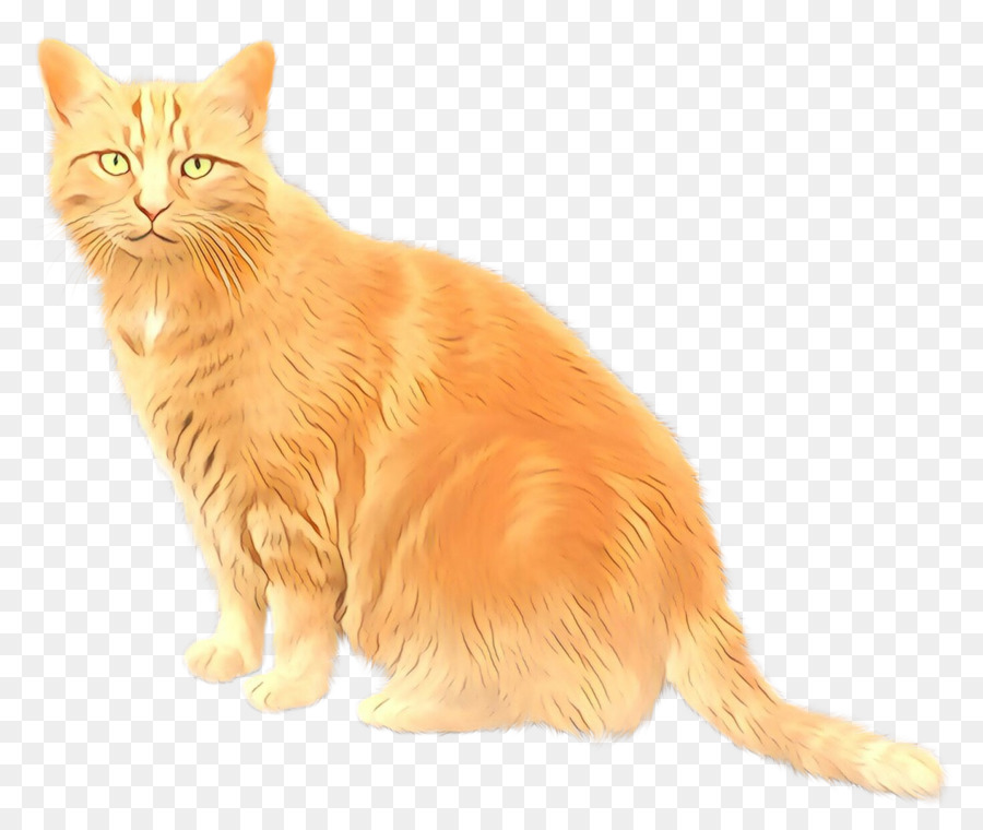 Turuncu Kedi，Kedi PNG