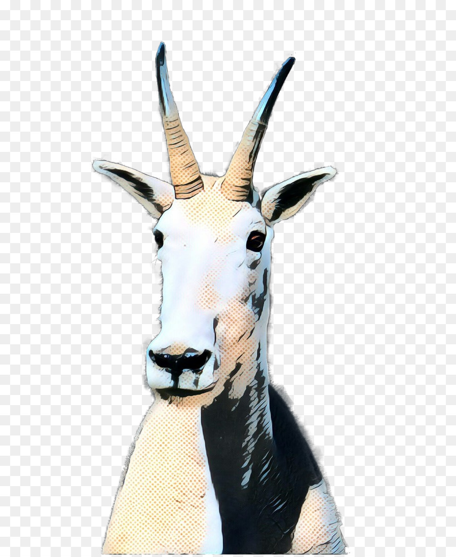 Antilop，Zürafa PNG