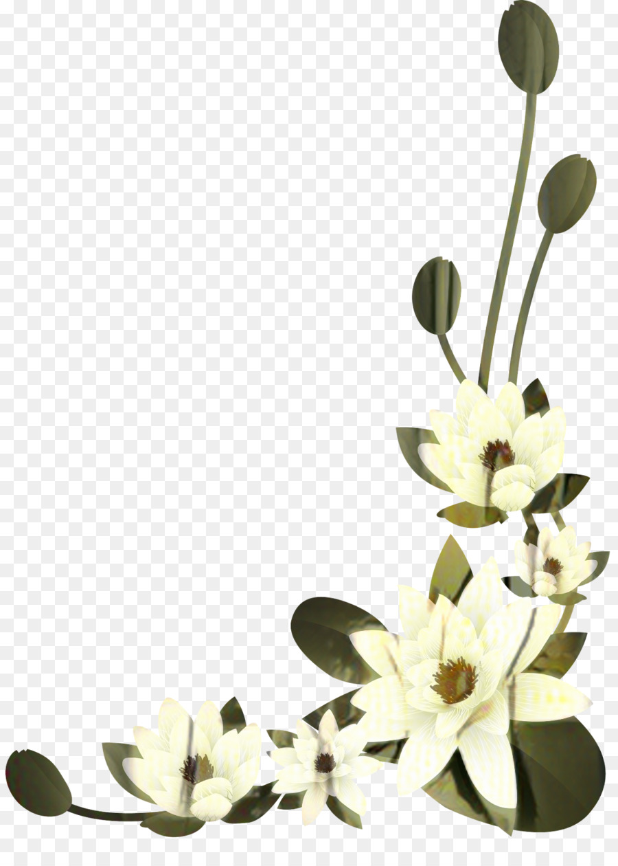 çiçek Tasarımı，Kesme çiçekler PNG