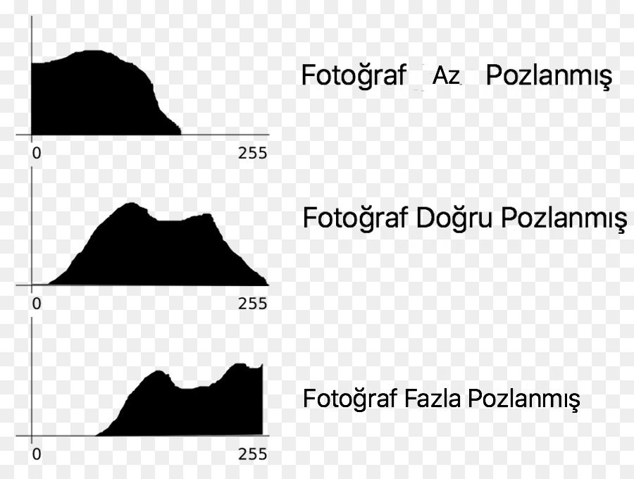 çubuk Grafik，Fotoğraf PNG