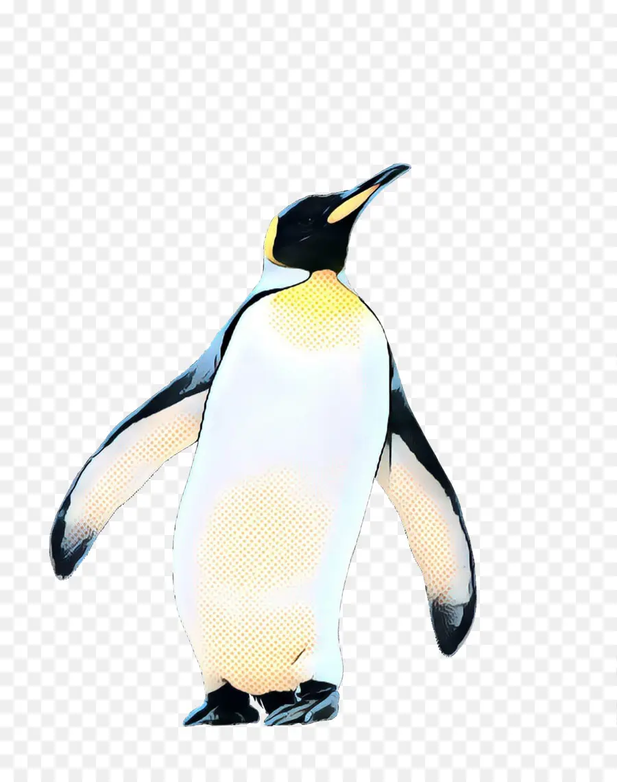 Penguen，Kuş PNG