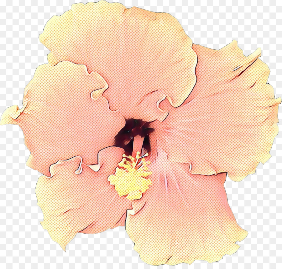 Rosemallows，Kesme çiçekler PNG