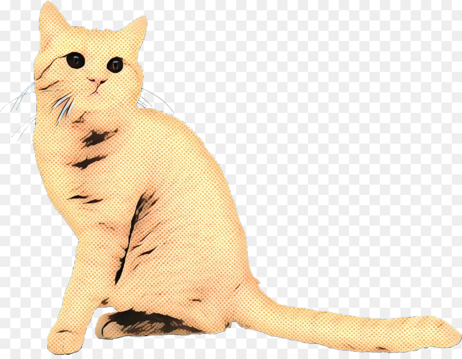 Kedi，Evcil Hayvan PNG