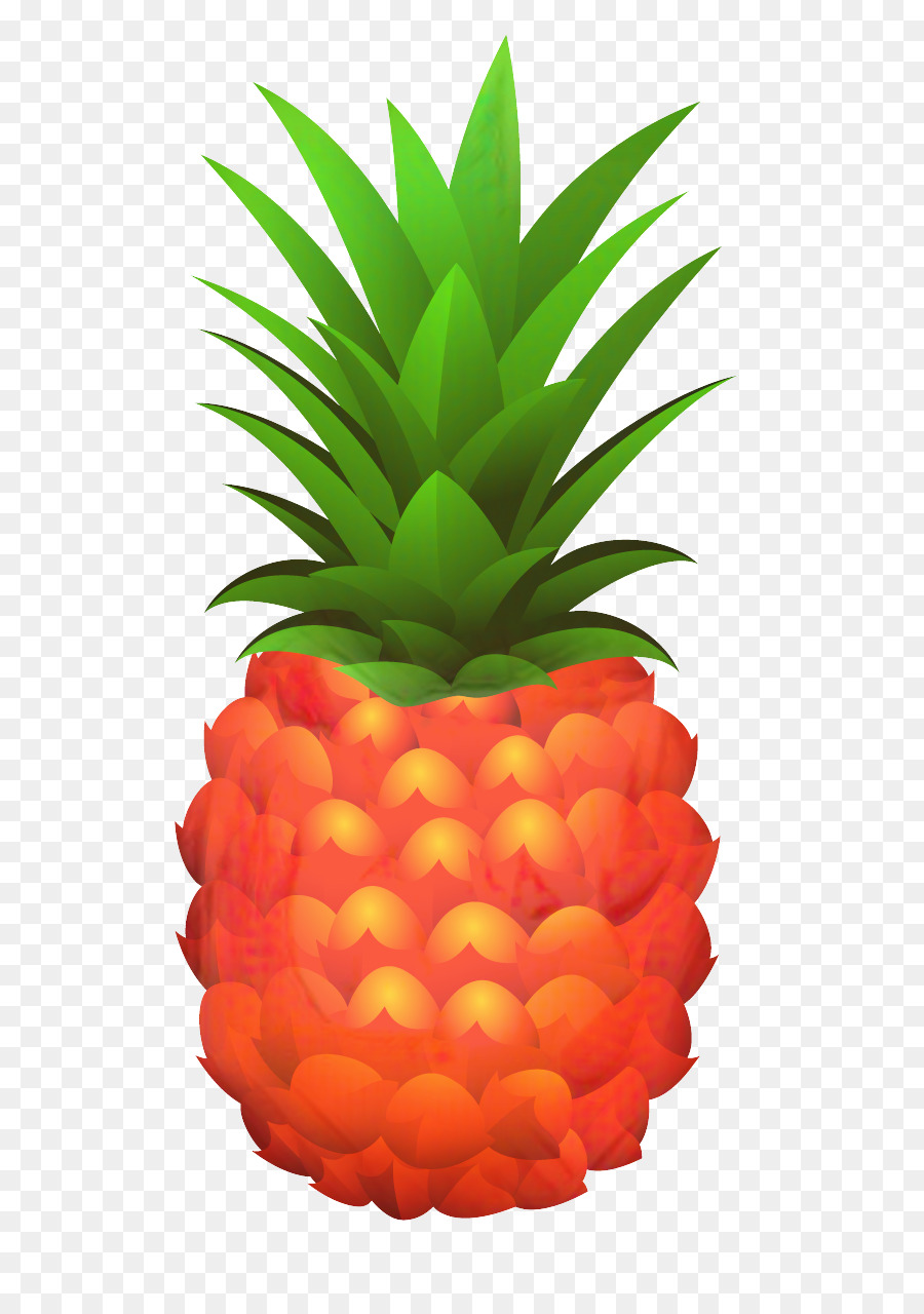 Renkli Ananas，Ananas PNG