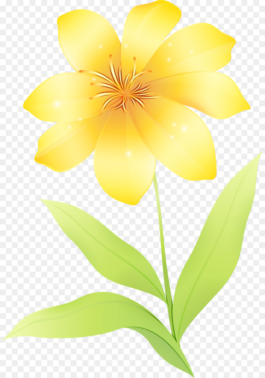 Yaprağı，Kır çiçeği PNG