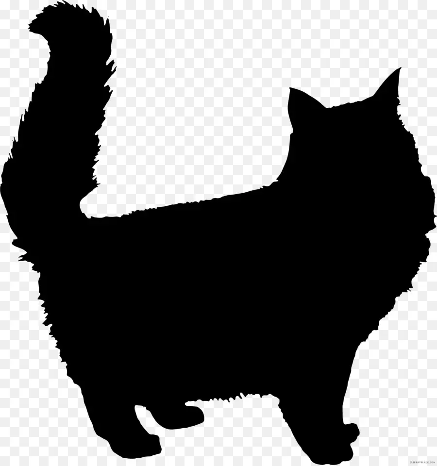 Kara Kedi Silüeti，Kedi PNG