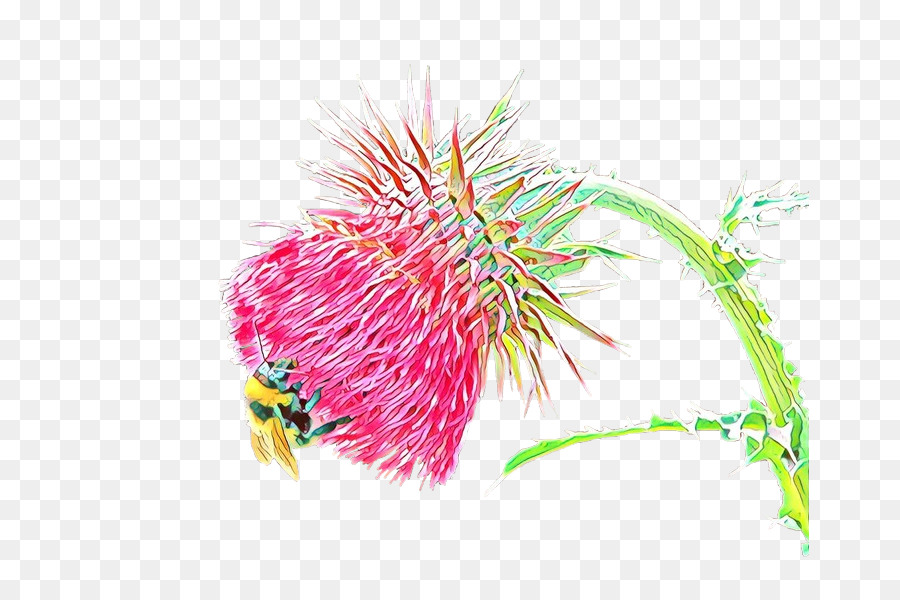 Organizma，çiçek PNG