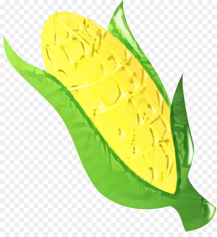 Sarı，Sebze PNG