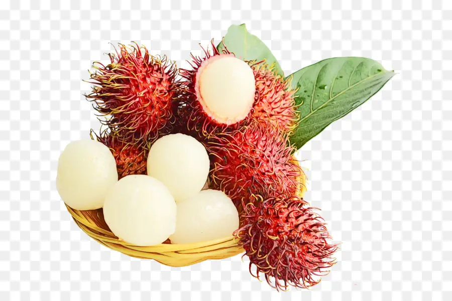 Rambutan Meyvesi，Tropikal PNG