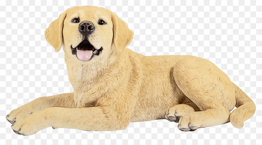 Golden Retriever，Labrador Retriever PNG