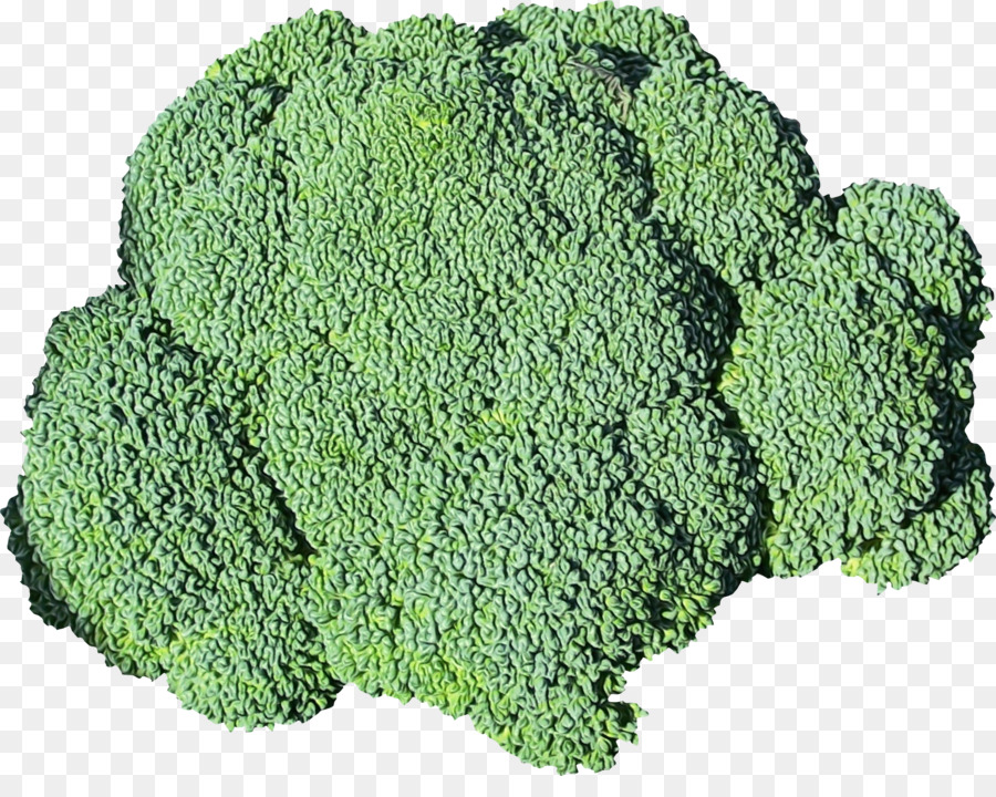 Yeşiller，Brokoli PNG