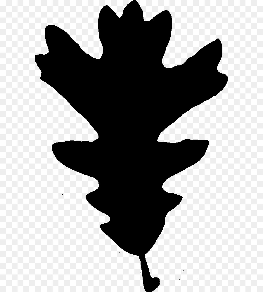 Ağaç，Siyah Beyaz M PNG