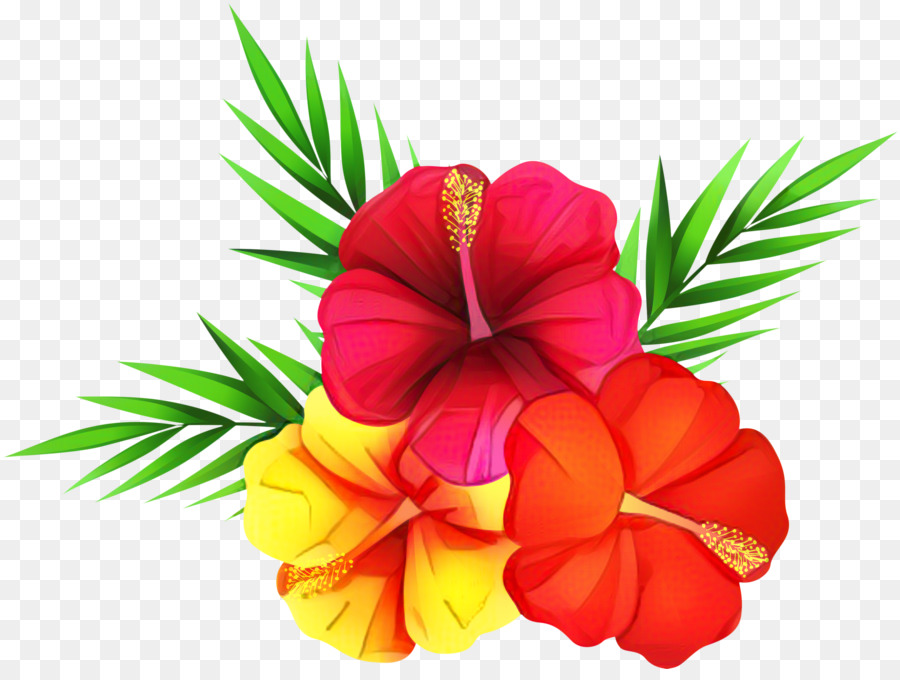 Hibiskus çiçekleri，Tropikal PNG