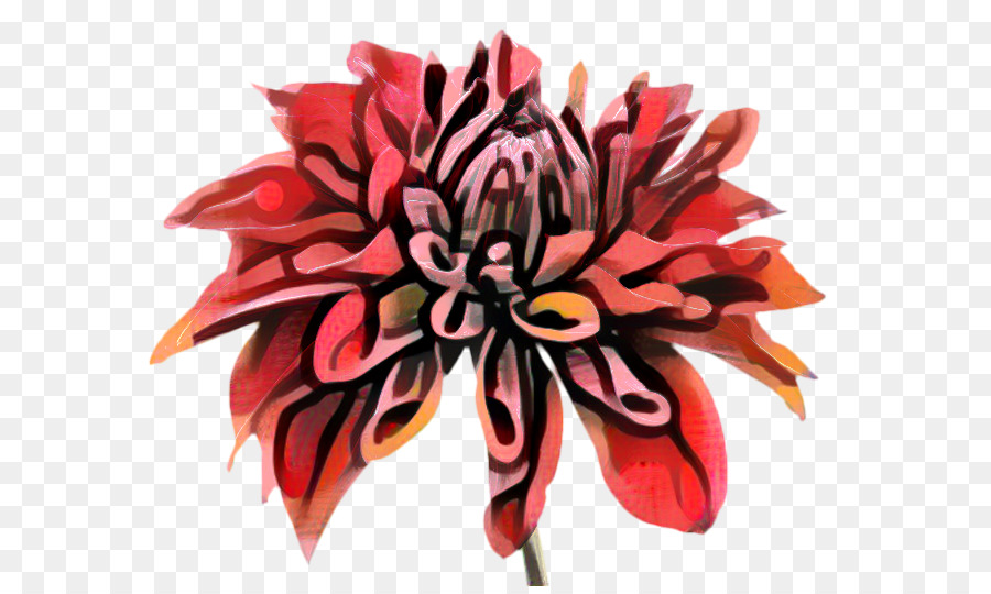 Dalya，çiçek Tasarımı PNG