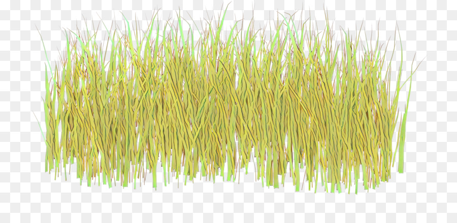 Buğday Çimi，Tahıl PNG