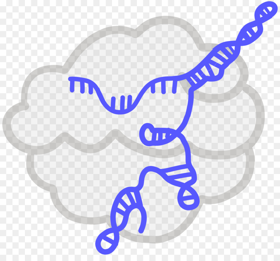 Crispr，Bağışıklık Sistemi PNG